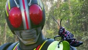 Japonês encontra raro gafanhoto preto que é comparado ao Kamen Rider Black