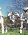 Bastidores do reboot cancelado de Power Rangers são revelados
